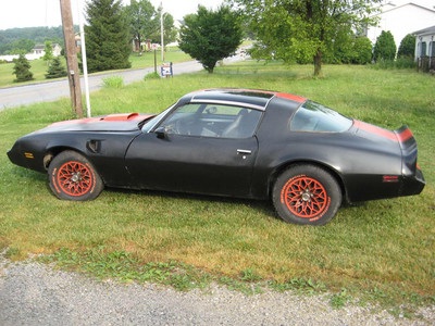 1979 Pontiac Trans Am 6.6L Custom