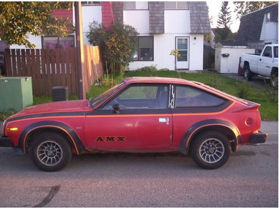 1980 AMX