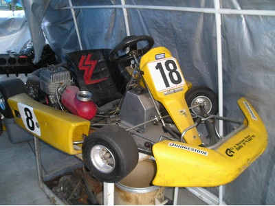 Emmick Go-Kart New Blue Printed Motor