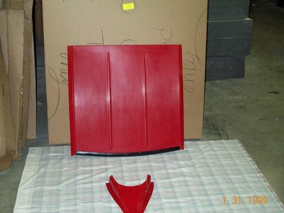 Race Car Fiberglass Late Model Roof