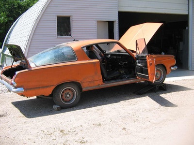 Barracuda