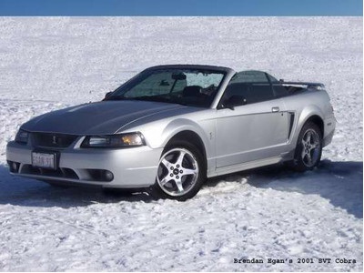 2001 Ford SVT Cobra Convert. Mods