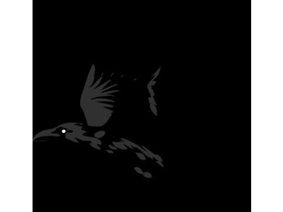 Raven Injury Law, P.C.