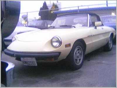 1982 Alfa Romeo Spider Veloce Convertibl