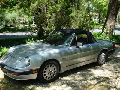 89 Alfa Quadrifoglio 