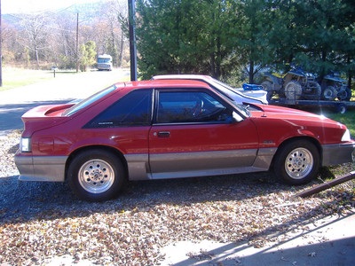 Pair Of Mustangs 4/Sale Or Trade