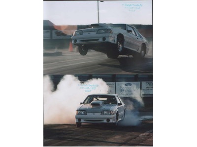 mustang roller