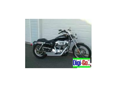 2004 Harley Davidson Custom Sportster 12