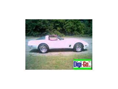 1981 Chevrolet Corvette