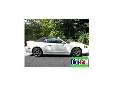 2003 Ford Cobra mustang svt