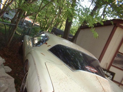 1972 boatail 455  boatail revera