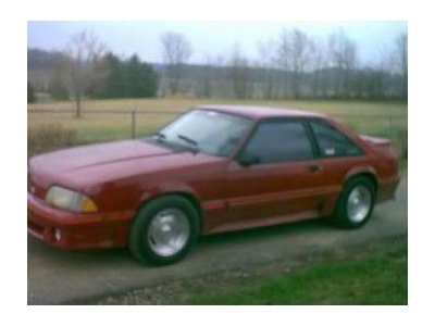 1987 Mustang GT HO