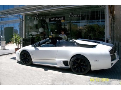 Lambo replicas made