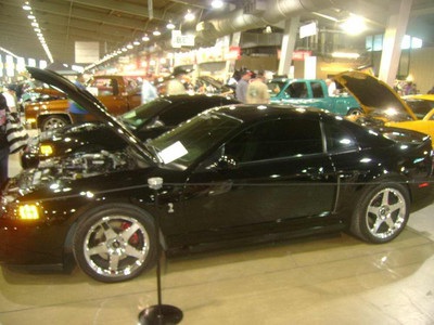  2001 GT/Shely 500 replica